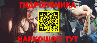 стаф Будённовск