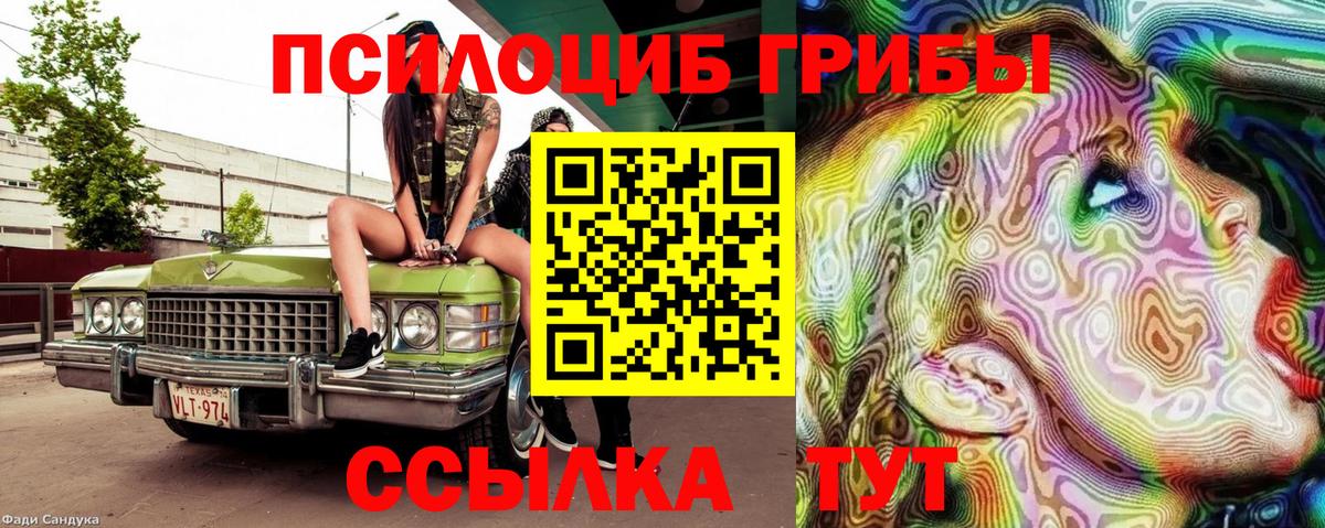 Галлюциногенные грибы Psilocybine cubensis Муром