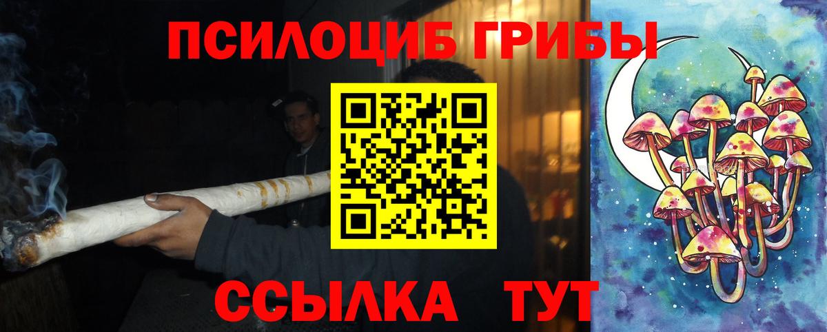 Галлюциногенные грибы Psilocybe  Вход с VPN  Муром 